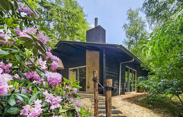 Rheezerveen in Overijssel