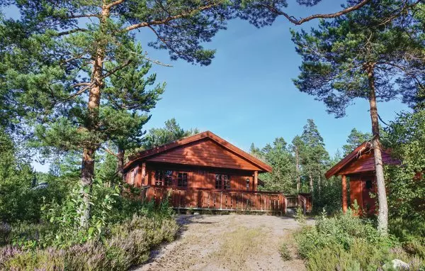 Amli in Telemark