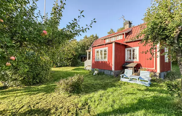 Vaeddoe in Stockholm